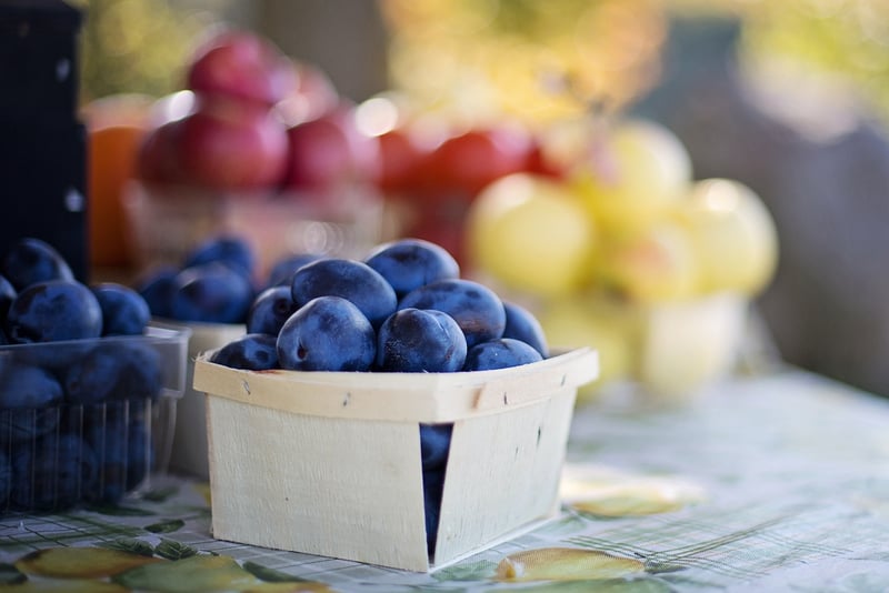Farmers Market Excursions